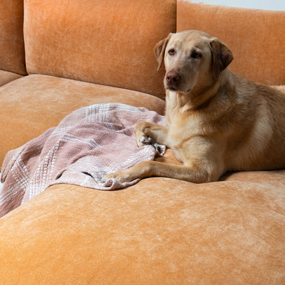 Capa de Sofá de Canto Plush - Caramelo