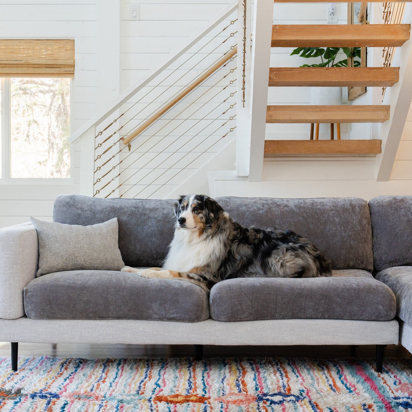 Capa de Sofá de Canto Plush - Cinza Chumbo