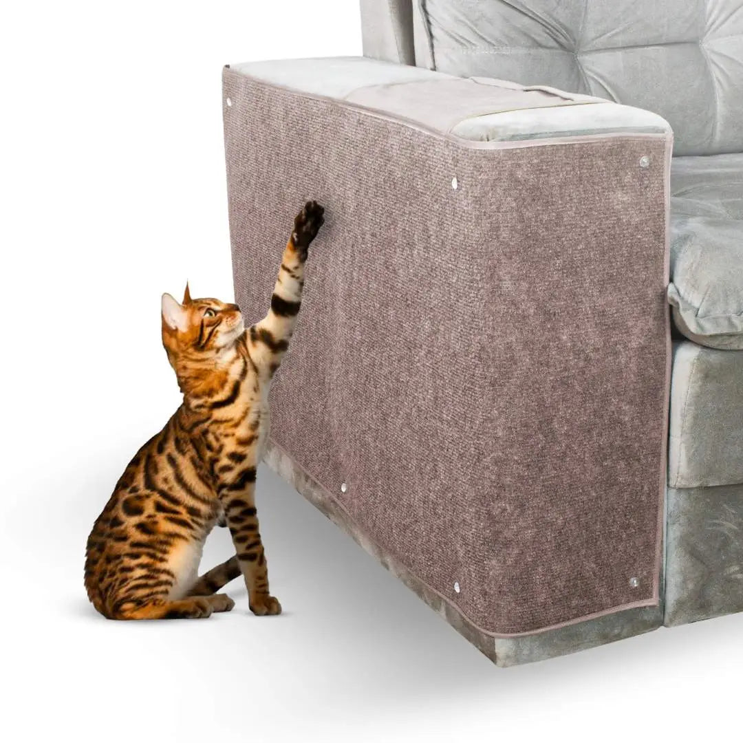 Protetor Arranhador Lateral para Braço de Sofá Kit c/ 2 - Bege