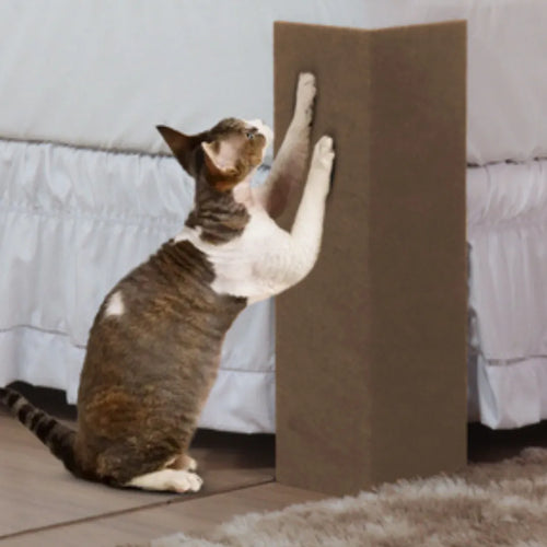 Arranhador MDF Cama Box para Gatos Kit 2  - Bege
